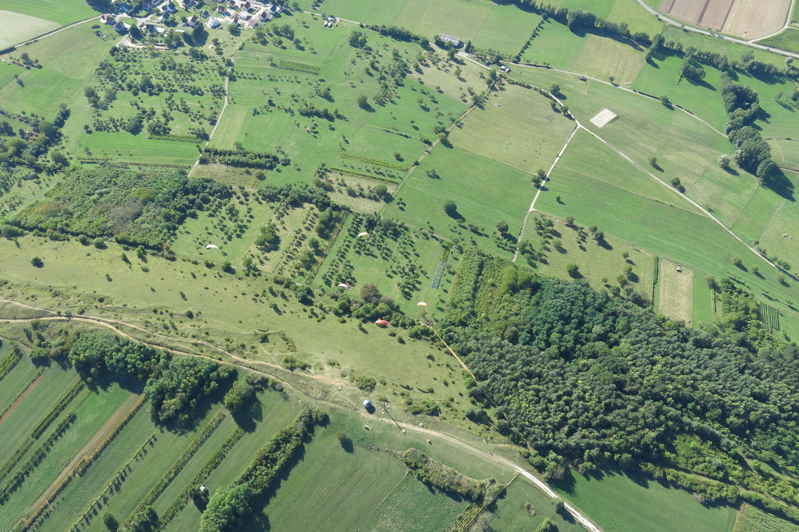 Chantier nature participatif au bastberg le 9 novembre